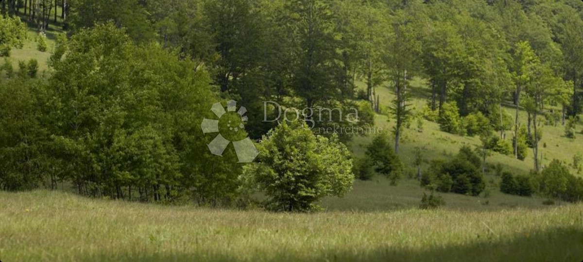 Land For sale - PRIMORSKO-GORANSKA RAVNA GORA