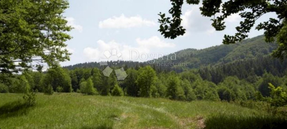 Land For sale - PRIMORSKO-GORANSKA RAVNA GORA