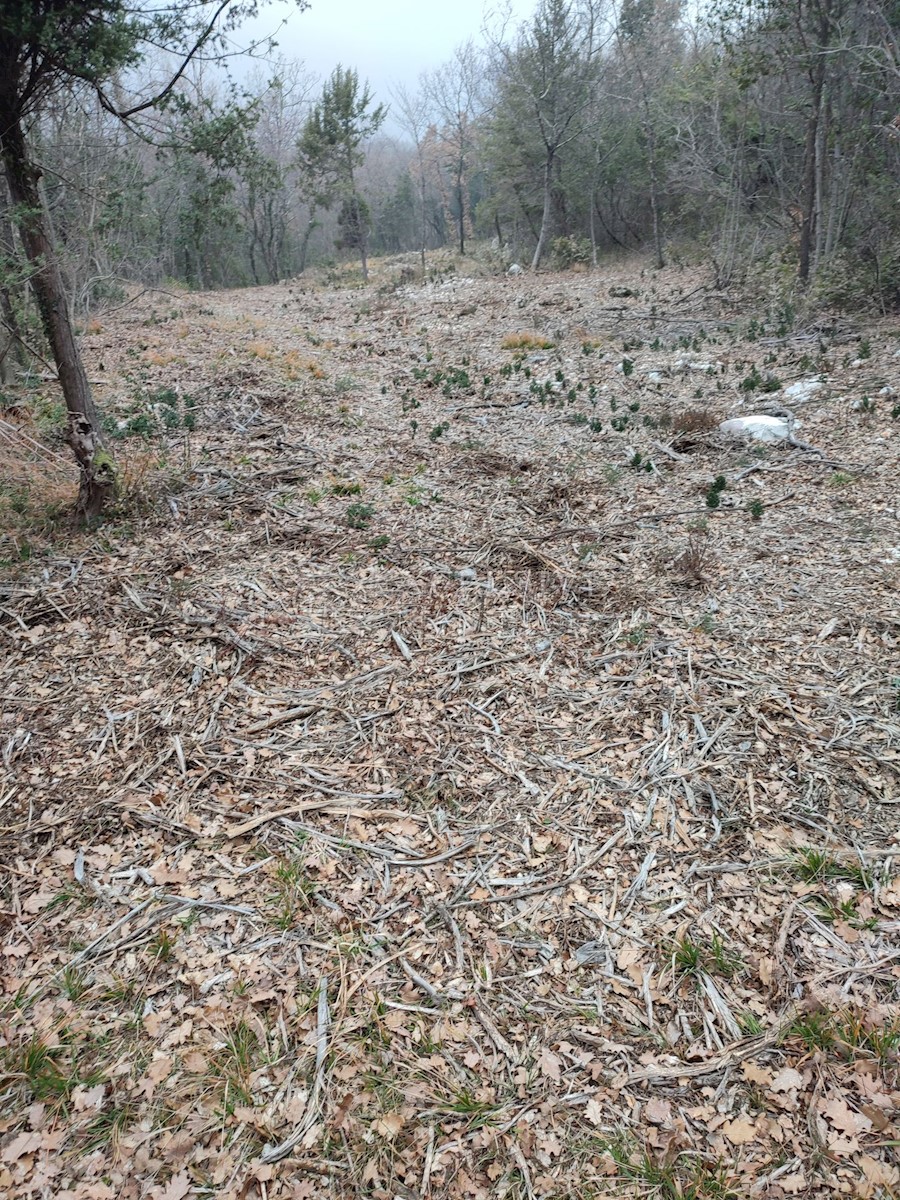 Działka Na sprzedaż - Primorsko-goranska Mošćenička Draga - foto 3/10