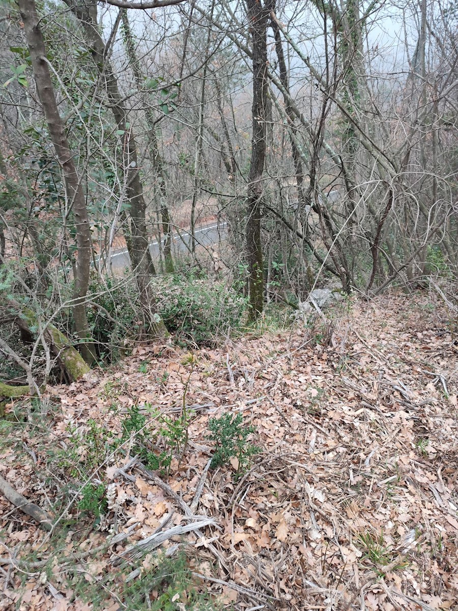 Działka Na sprzedaż - Primorsko-goranska Mošćenička Draga - foto 4/10