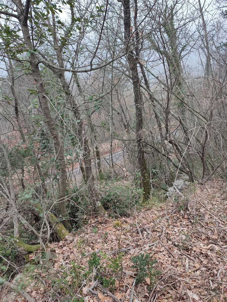 Działka Na sprzedaż - Primorsko-goranska Mošćenička Draga - foto 5/10