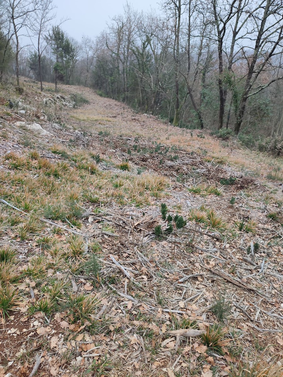 Działka Na sprzedaż - PRIMORSKO-GORANSKA MOŠĆENIČKA DRAGA
