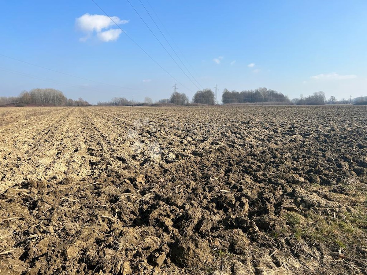 Zemljište Na prodaju OBOROVO