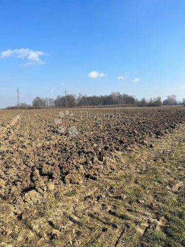 Pozemek Na prodej OBOROVO