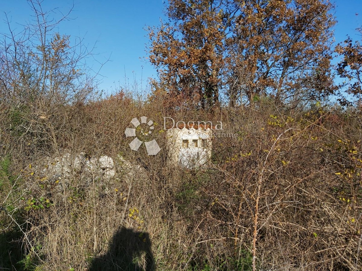 Kuća Na prodaju - Istarska Vodnjan - foto 3/9