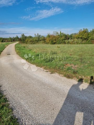 Pozemok na predaj 4305 m² – Zabrežani
