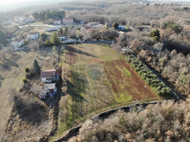 Land for sale 6234 m² – Cvitani