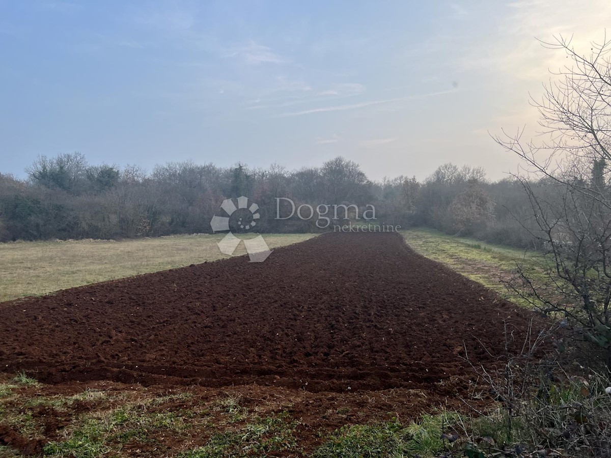 Terrain À vendre - ISTARSKA SVETVINČENAT