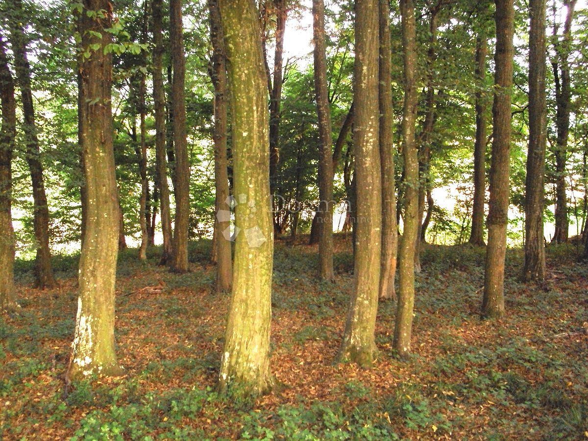 Terreno In vendita ŽBANDAJ