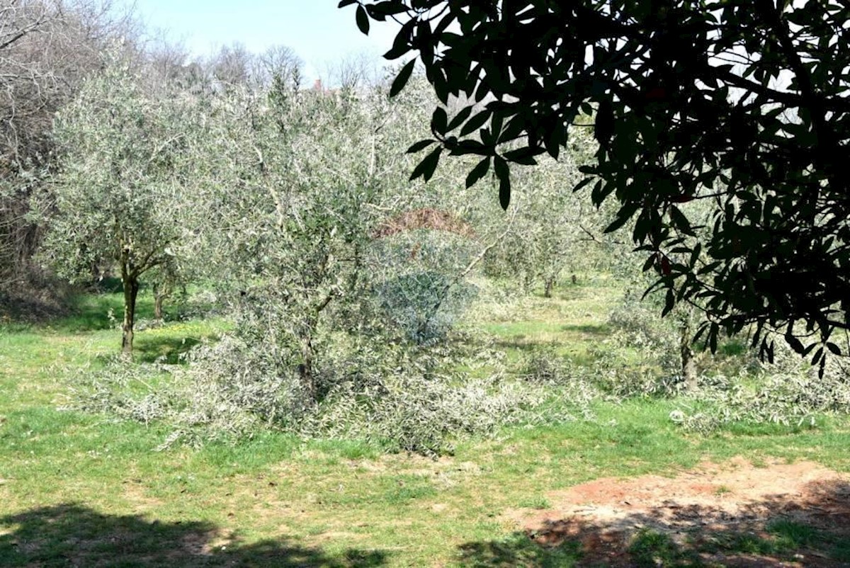 Kuća Na prodaju - ISTARSKA POREČ