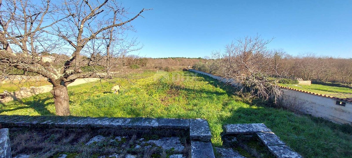 Dom Na predaj - ISTARSKA MARČANA