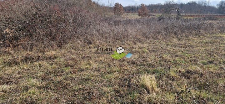 Parcela na predaj 3160 m² – Barban