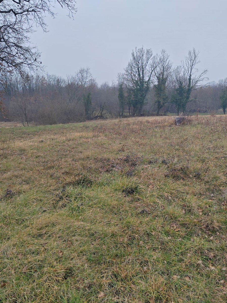 Terreno In vendita - ISTARSKA KRŠAN