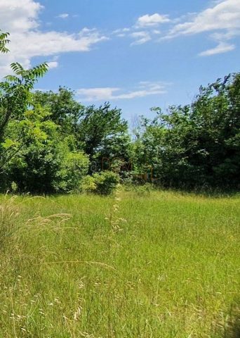 Land for sale 2241 m² – Barban