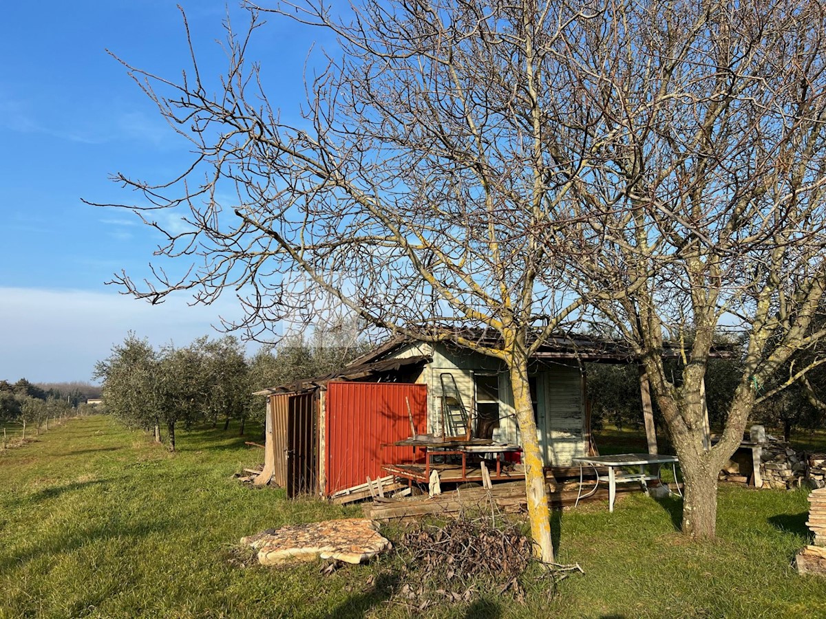 Zemljište Na prodaju - ISTARSKA NOVIGRAD