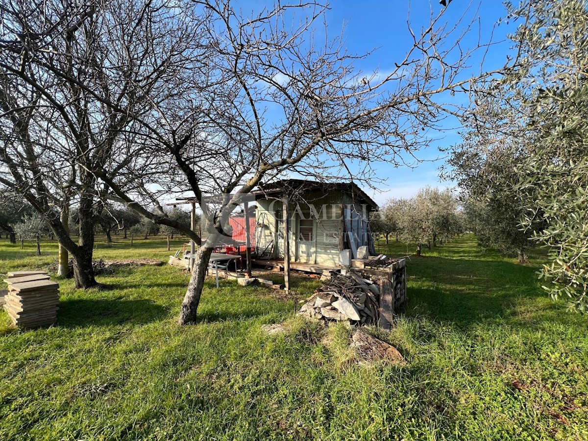 Zemljište Na prodaju - ISTARSKA NOVIGRAD