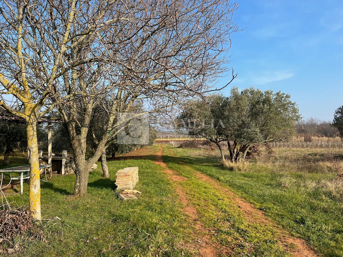 Zemljište Na prodaju - ISTARSKA NOVIGRAD