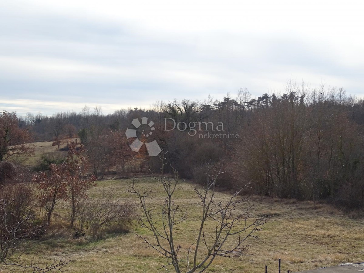 House For sale - ISTARSKA PAZIN