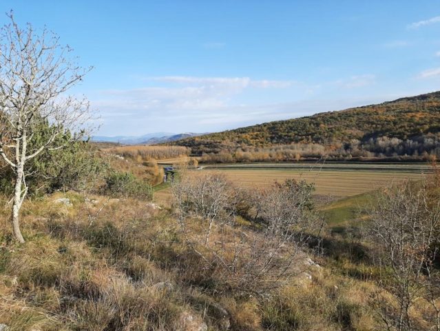Parcela na predaj 24400 m² – Buje