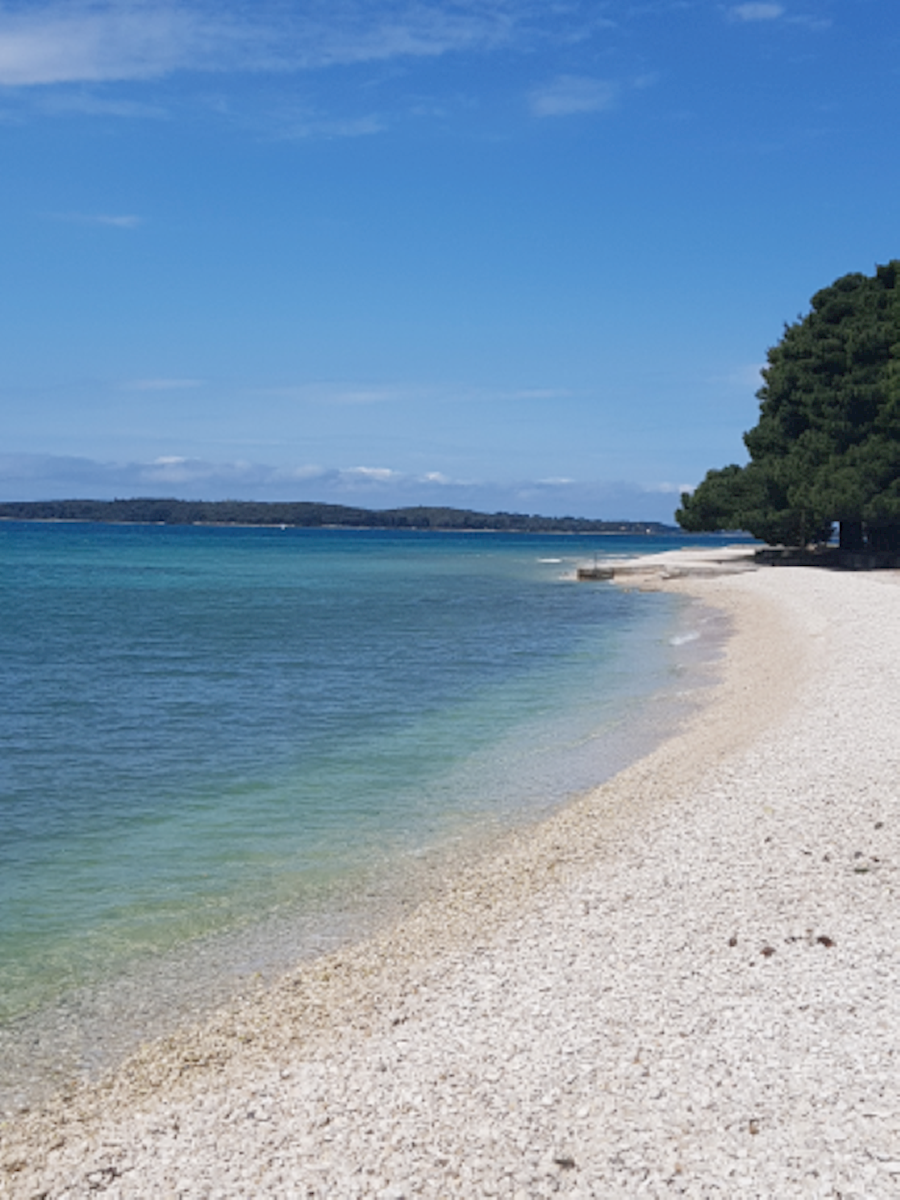 Dom Na predaj - ISTARSKA FAŽANA