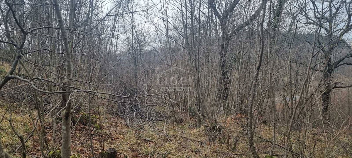 Land For sale - Primorsko-goranska Viškovo - foto 4/5