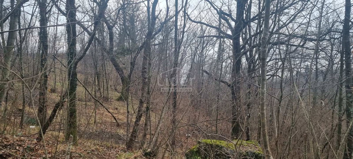 Land For sale - Primorsko-goranska Viškovo - foto 5/5