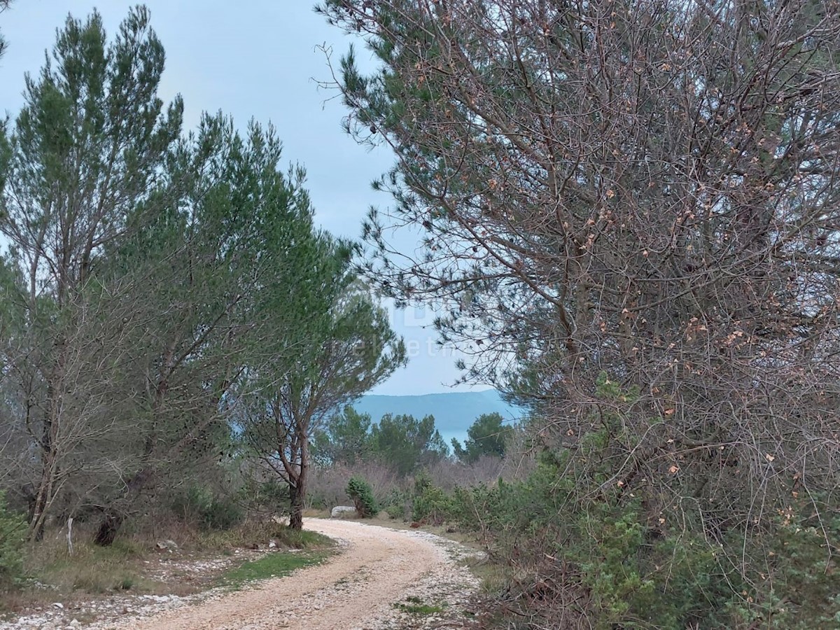 Parcela Na predaj - ISTARSKA BARBAN