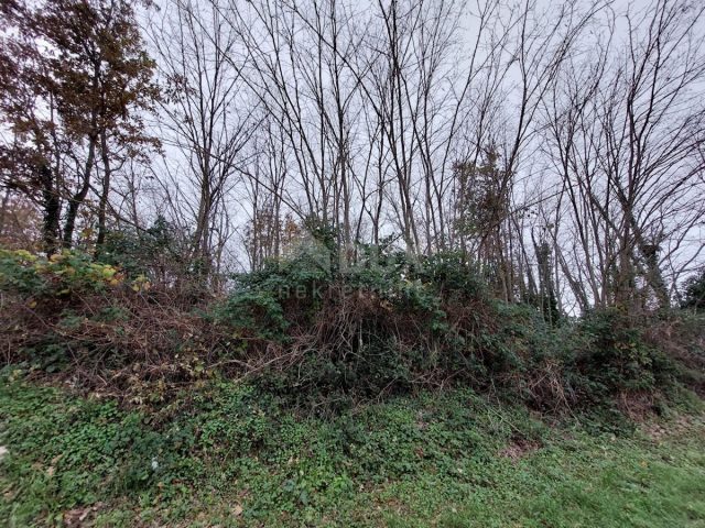 Land for sale 1364 m² – Pićan
