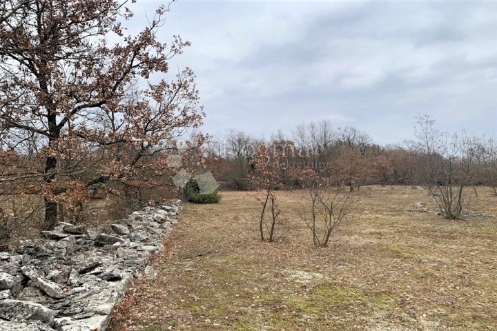 Land for sale 4595 m² – Kanfanar