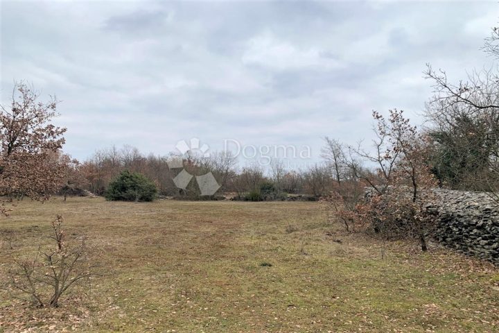 Land For sale - Istarska Kanfanar - foto 2/11