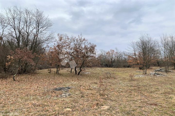 Land For sale - Istarska Kanfanar - foto 4/11
