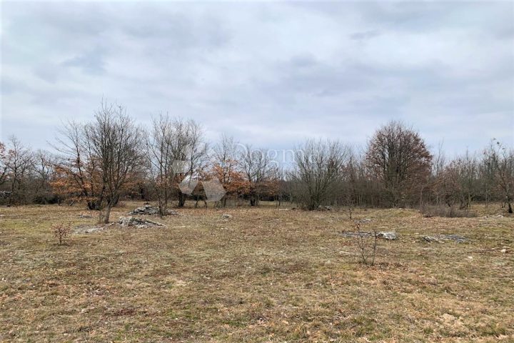 Land For sale - Istarska Kanfanar - foto 5/11