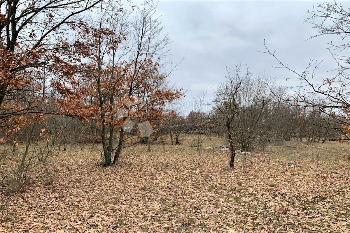 Parcela Naprodaj - ISTARSKA Kanfanar