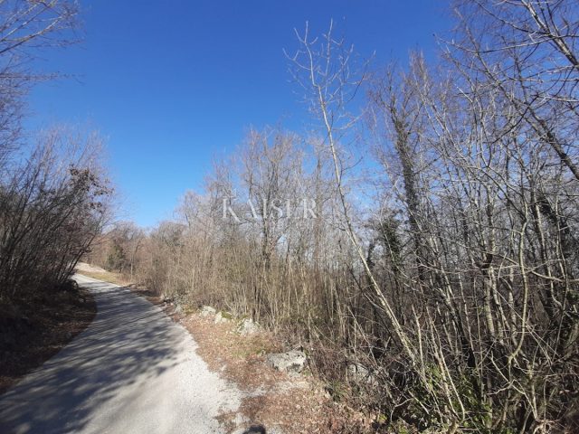 Pozemok na predaj 6344 m² – Rukavac