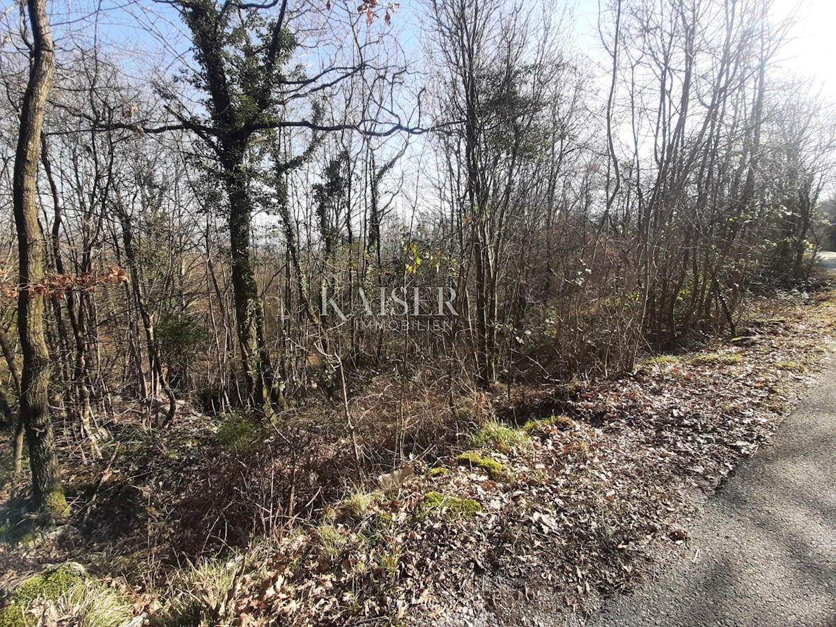 Land For sale - PRIMORSKO-GORANSKA MATULJI