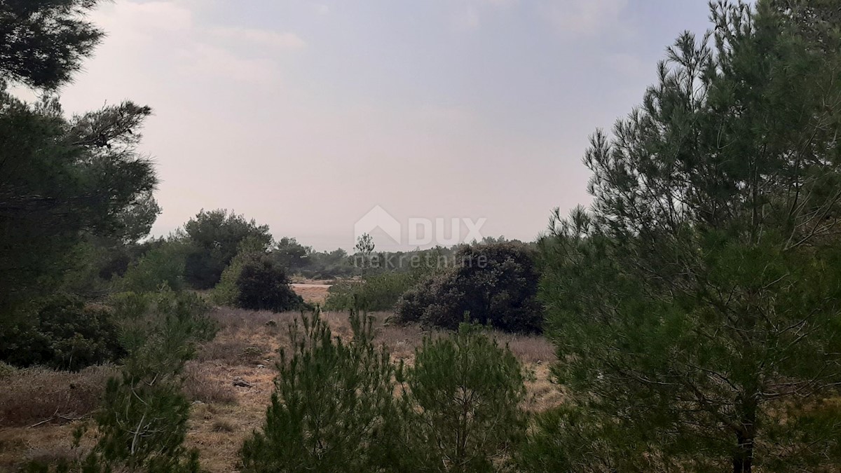 Terreno In vendita - ZADARSKA VIR