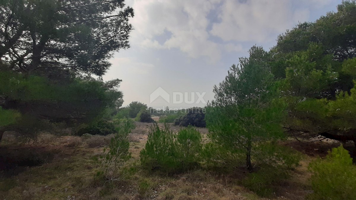 Terrain À vendre - ZADARSKA Vir