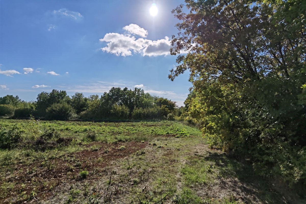 Pozemek Na prodej - ISTARSKA POREČ