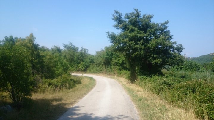 Land for sale 56478 m² – Ripenda Kras