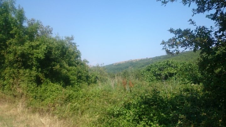 Parcela Naprodaj - Istarska Labin - foto 4/4