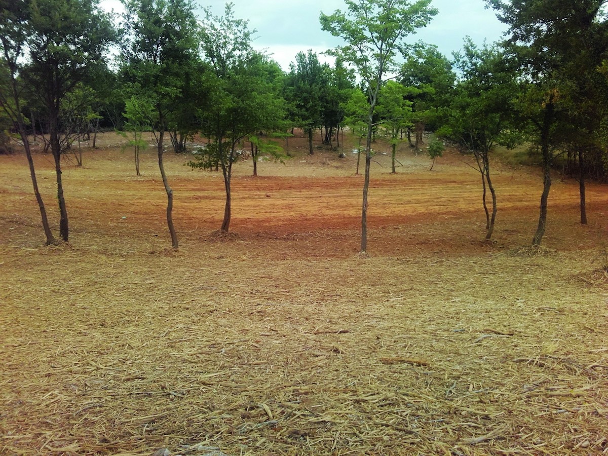 Terreno In vendita - ISTARSKA VIŠNJAN