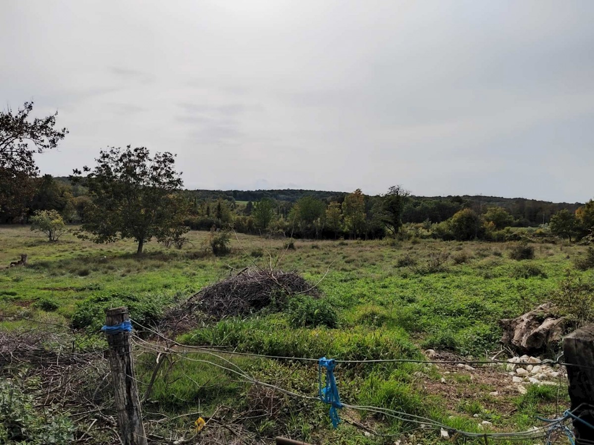 Land For sale - ISTARSKA POREČ