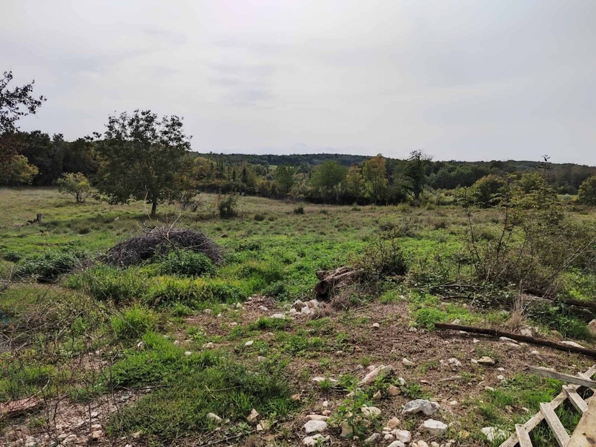 Land For sale - ISTARSKA POREČ