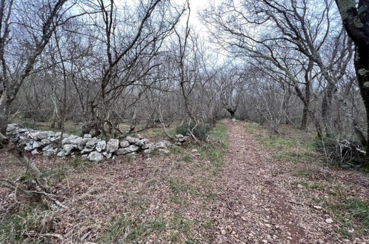 Grundstück Zu verkaufen - Primorsko-goranska Krk - foto 2/5
