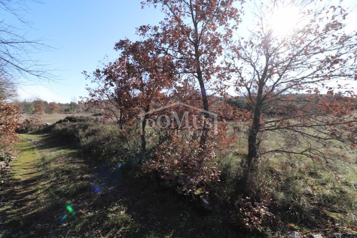 Land For sale - šibensko-kninska šibenik - foto 5/6
