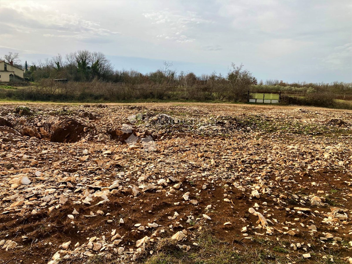 Terreno In vendita - ISTARSKA BARBAN