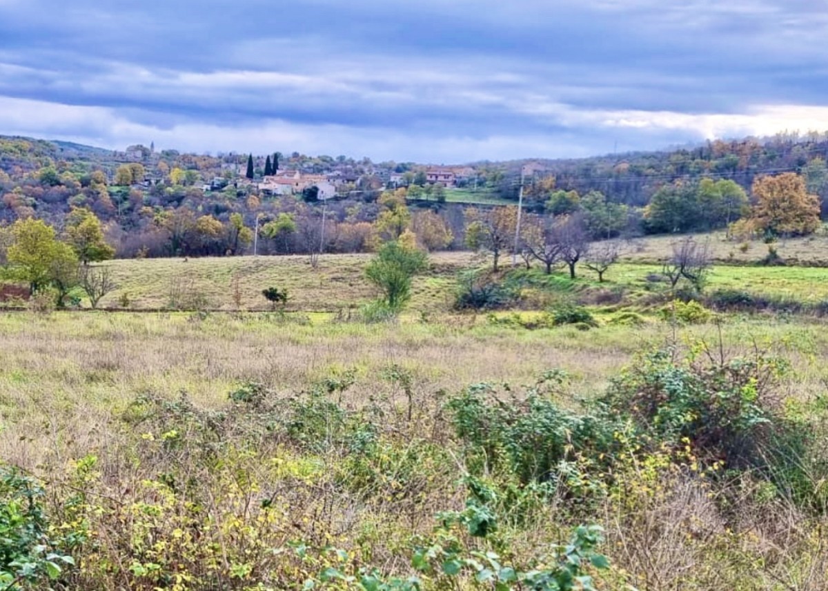 Land For sale - ISTARSKA KAROJBA