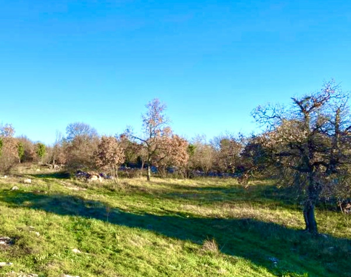 Terreno In vendita - ISTARSKA BARBAN