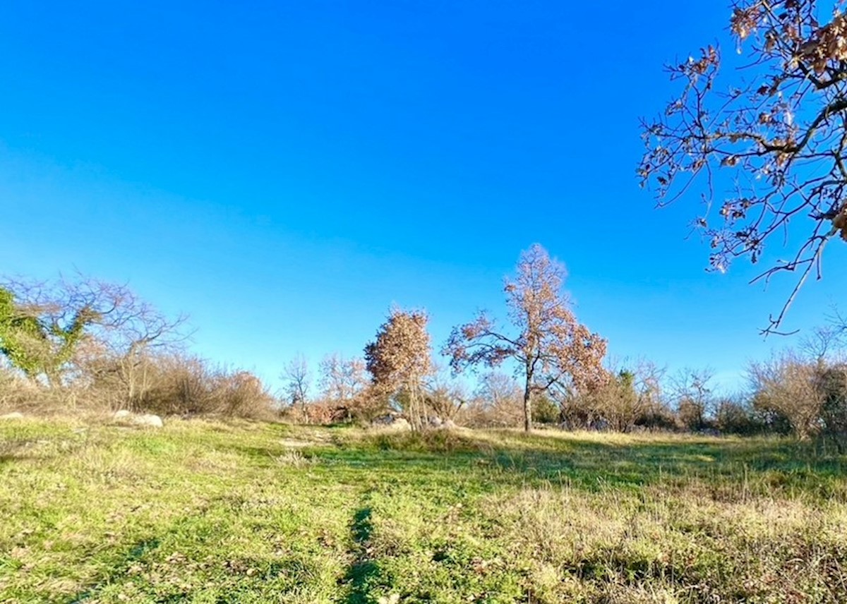 Terreno In vendita - ISTARSKA BARBAN