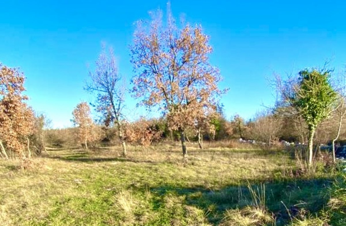 Parcela Naprodaj - ISTARSKA Barban